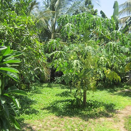 Local Beach Homestay Hội An Extérieur photo